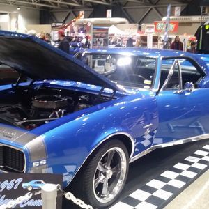 Meet your Posher, Dalton